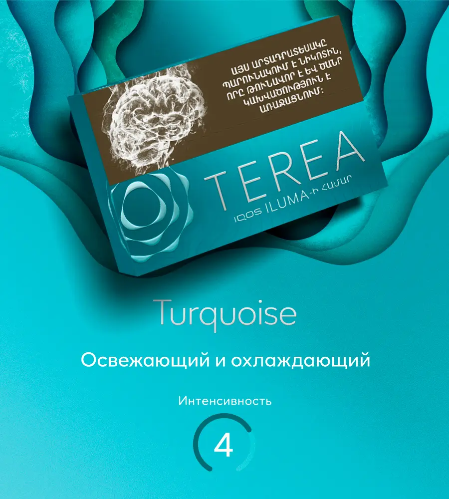Terea стики ARM Turquoise
