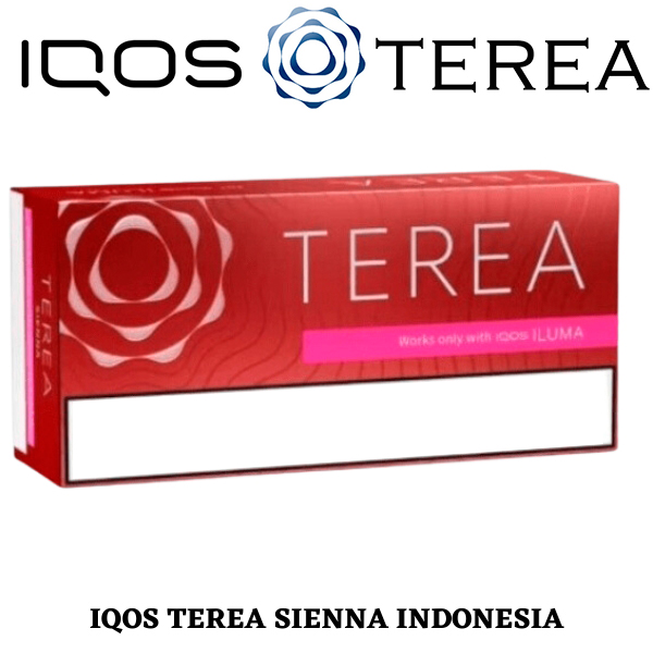 TEREA Indonesia — SIENNA